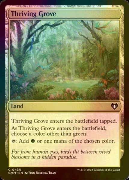 画像1: [FOIL] 興隆する木立/Thriving Grove 【英語版】 [CMM-土地C] (1)