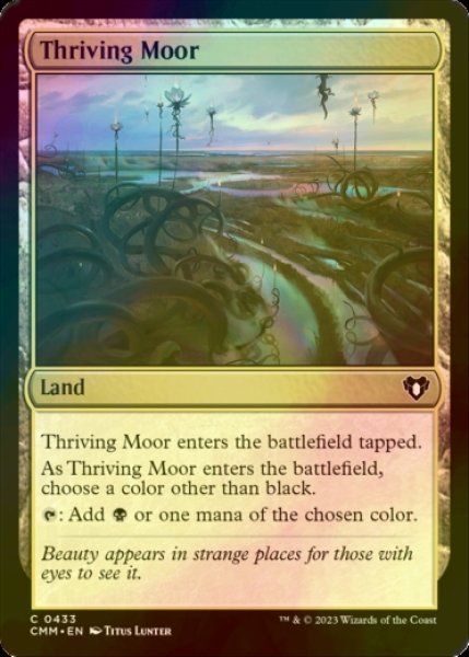 画像1: [FOIL] 興隆する湿地帯/Thriving Moor 【英語版】 [CMM-土地C] (1)