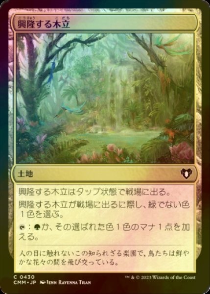 画像1: [FOIL] 興隆する木立/Thriving Grove 【日本語版】 [CMM-土地C] (1)