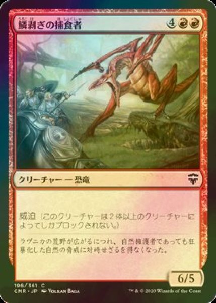 画像1: [FOIL] 鱗剥ぎの捕食者/Ripscale Predator 【日本語版】 [CMR-赤C] (1)