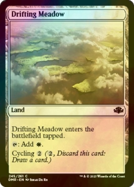 画像1: [FOIL] 漂う牧草地/Drifting Meadow 【英語版】 [DMR-土地C] (1)