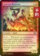 画像1: [FOIL] 業火の幻影/Infernal Phantom 【英語版】 [DSK-赤U] (予約Z) (1)