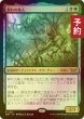 画像1: [FOIL] 群れの巣人/The Swarmweaver No.301 【日本語版】 [DSK-金R] (予約Z) (1)