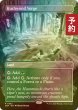 画像1: [FOIL] ハッシュウッドの境界/Hushwood Verge (全面アート・海外産ブースター版) 【英語版】 [DSK-土地R] (予約Z) (1)