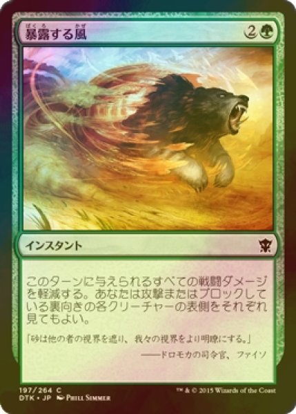 画像1: [FOIL] 暴露する風/Revealing Wind 【日本語版】 [DTK-緑C] (1)