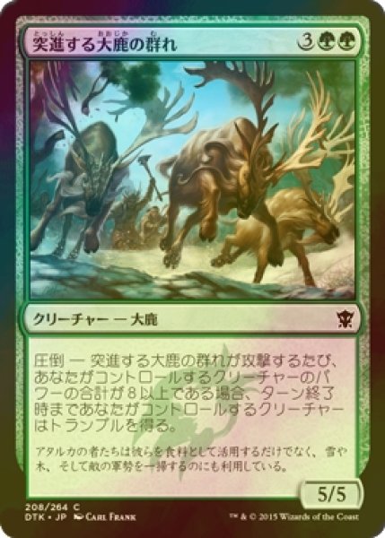 画像1: [FOIL] 突進する大鹿の群れ/Stampeding Elk Herd 【日本語版】 [DTK-緑C] (1)