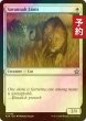 画像1: [FOIL] サバンナ・ライオン/Savannah Lions 【英語版】 [FDN-白U] (予約B) (1)