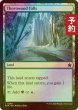 画像1: [FOIL] 茨森の滝/Thornwood Falls 【英語版】 [FDN-土地C] (予約B) (1)