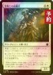 画像1: [FOIL] 聖戦士の奇襲兵/Cathar Commando 【日本語版】 [FDN-白C] (予約B) (1)