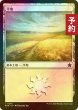 画像1: [FOIL] 平地/Plains No.273 【日本語版】 [FDN-土地C] (予約B) (1)