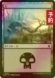 画像1: [FOIL] 沼/Swamp No.276 【日本語版】 [FDN-土地C] (予約B) (1)