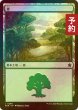 画像1: [FOIL] 森/Forest No.280 【日本語版】 [FDN-土地C] (予約B) (1)