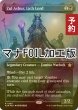 画像1: [FOIL] 死者の王、ザル・アシュール/Zul Ashur, Lich Lord (全面アート版・マナ・フォイル仕様) 【英語版】 [FDN-黒R] (予約B) (1)