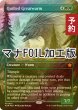 画像1: [FOIL] 針羽の大ワーム/Quilled Greatwurm (全面アート版・マナ・フォイル仕様) 【英語版】 [FDN-緑MR] (予約B) (1)