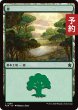 画像1: 森/Forest No.280 【日本語版】 [FDN-土地C] (予約A) (1)