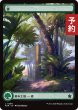 画像1: 森/Forest No.290 (全面アート版) 【日本語版】 [FDN-土地C] (予約A) (1)