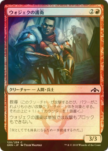 画像1: [FOIL] ウォジェクの護衛/Wojek Bodyguard 【日本語版】 [GRN-赤C] (1)