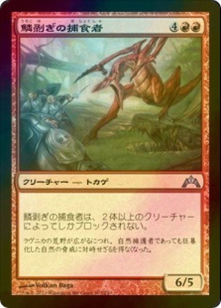 画像1: [FOIL] 鱗剥ぎの捕食者/Ripscale Predator 【日本語版】 [GTC-赤U] (1)