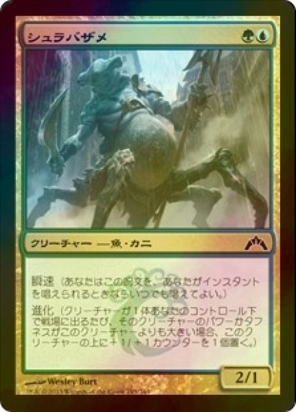 画像1: [FOIL] シュラバザメ/Shambleshark 【日本語版】 [GTC-金C] (1)