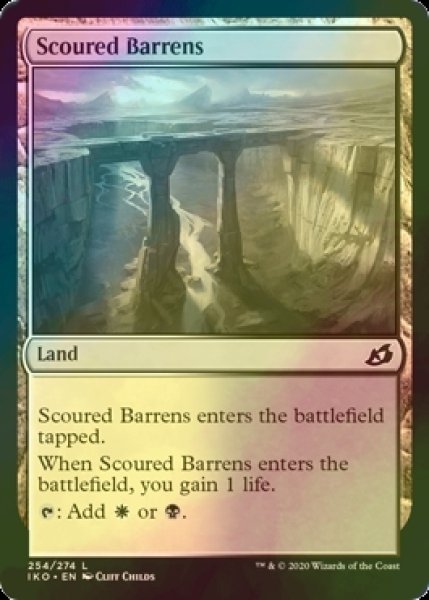 画像1: [FOIL] 磨かれたやせ地/Scoured Barrens 【英語版】 [IKO-土地C] (1)