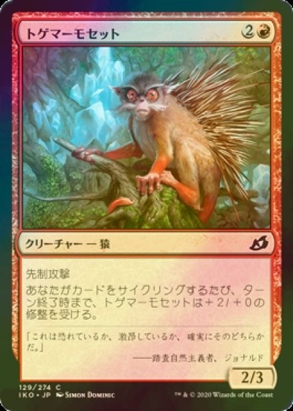 画像1: [FOIL] トゲマーモセット/Prickly Marmoset 【日本語版】 [IKO-赤C] (1)