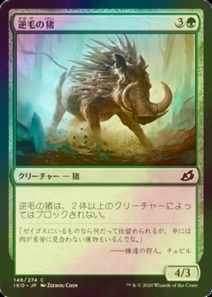 画像1: [FOIL] 逆毛の猪/Bristling Boar 【日本語版】 [IKO-緑C] (1)