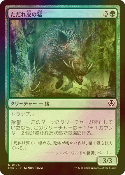 画像1: [FOIL] ただれ皮の猪/Festerhide Boar 【日本語版】 [INR-緑C] (1)