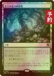 画像1: [FOIL] 死天狗茸の林間地/Deathcap Glade 【日本語版】 [INR-土地R] (予約D) (1)