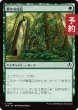 画像1: 豊かな成長/Abundant Growth 【日本語版】 [INR-緑C] (予約D) (1)