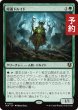 画像1: 隠遁ドルイド/Hermit Druid 【日本語版】 [INR-緑R] (予約D) (1)