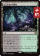 画像1: 死天狗茸の林間地/Deathcap Glade 【日本語版】 [INR-土地R] (予約D) (1)