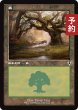 画像1: 森/Forest No.297 (旧枠) 【日本語版】 [INR-土地C] (予約D) (1)