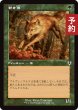 画像1: 若き狼/Young Wolf (旧枠) 【日本語版】 [INR-緑C] (予約D) (1)