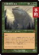 画像1: 孔蹄のビヒモス/Craterhoof Behemoth (旧枠) 【日本語版】 [INR-緑MR] (予約D) (1)