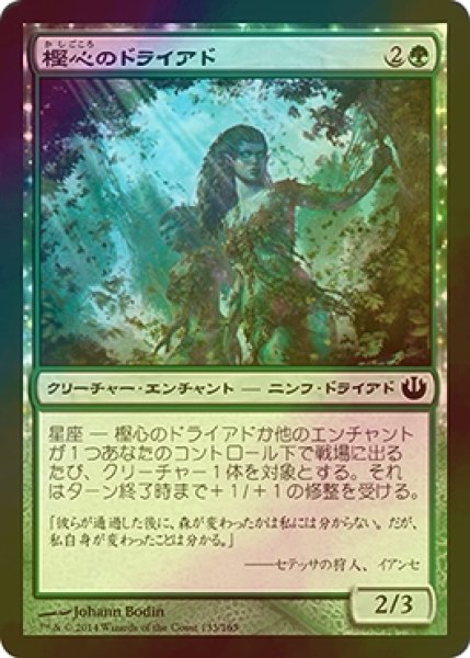 画像1: [FOIL] 樫心のドライアド/Oakheart Dryads 【日本語版】 [JOU-緑C] (1)