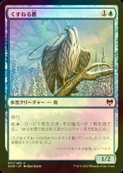 画像1: [FOIL] くすねる鷹/Pilfering Hawk 【日本語版】 [KHM-青C] (1)