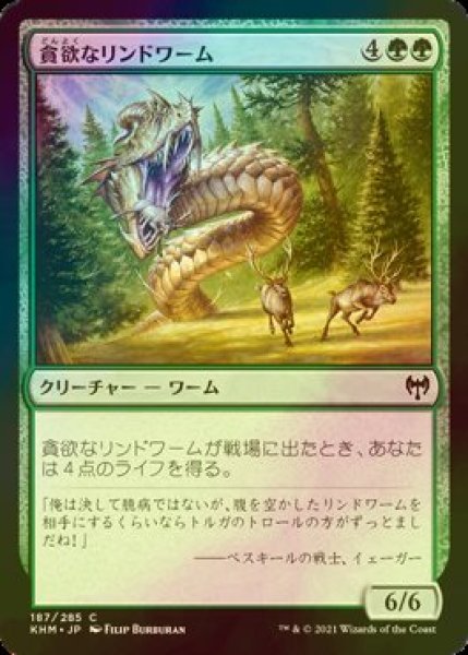 画像1: [FOIL] 貪欲なリンドワーム/Ravenous Lindwurm 【日本語版】 [KHM-緑C] (1)