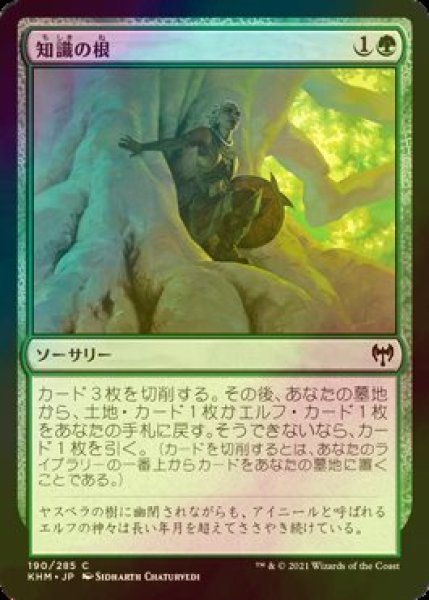 画像1: [FOIL] 知識の根/Roots of Wisdom 【日本語版】 [KHM-緑C] (1)