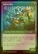 画像2: [FOIL] 翡翠の種石/Jade Seedstones 【日本語版】 [LCI-緑U] (2)