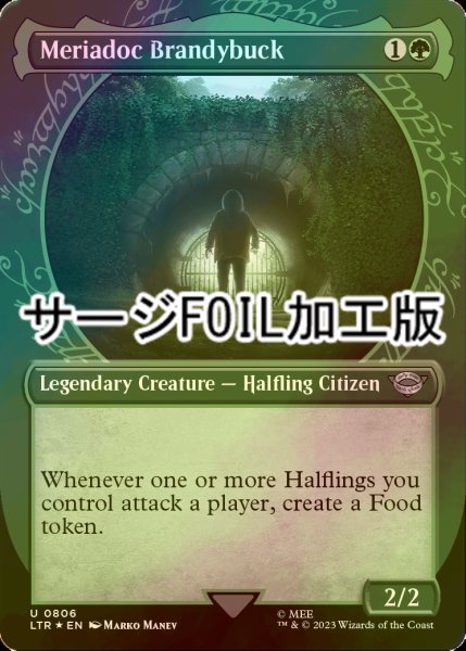 画像1: [FOIL] メリアドク・ブランディバック/Meriadoc Brandybuck No.806 (ショーケース版・サージ仕様) 【英語版】 [LTR-緑U] (1)