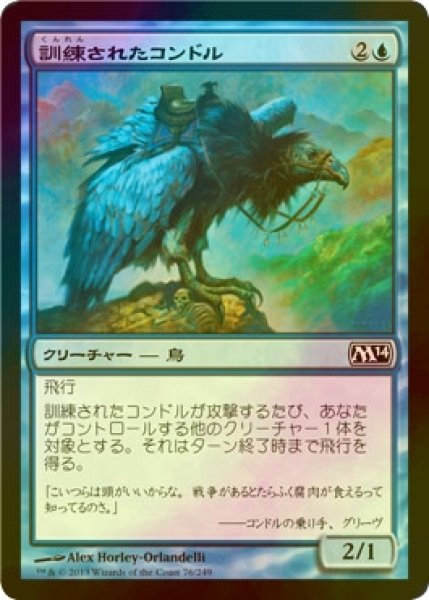 画像1: [FOIL] 訓練されたコンドル/Trained Condor 【日本語版】 [M14-青C] (1)