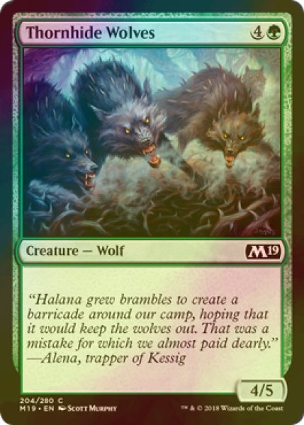 画像1: [FOIL] 茨隠れの狼/Thornhide Wolves 【英語版】 [M19-緑C] (1)