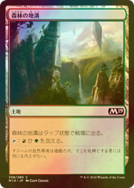 画像1: [FOIL] 森林の地溝/Timber Gorge 【日本語版】 [M19-土地C] (1)