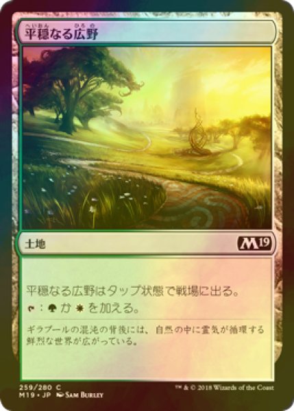 画像1: [FOIL] 平穏なる広野/Tranquil Expanse 【日本語版】 [M19-土地C] (1)