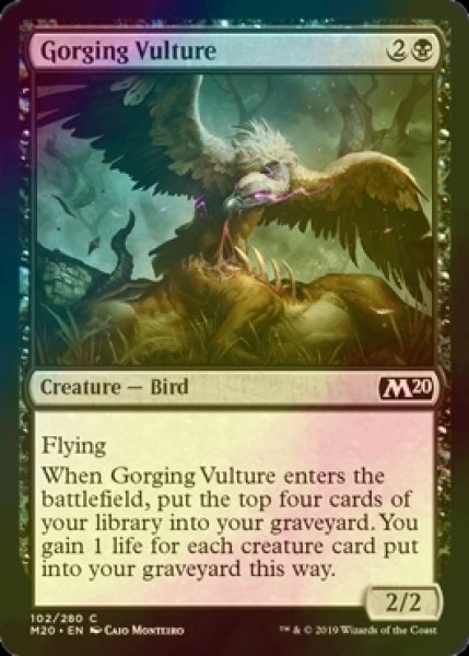 画像1: [FOIL] 貪る禿鷹/Gorging Vulture 【英語版】 [M20-黒C] (1)