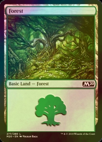 画像1: [FOIL] 森/Forest No.277 【英語版】 [M20-土地C] (1)