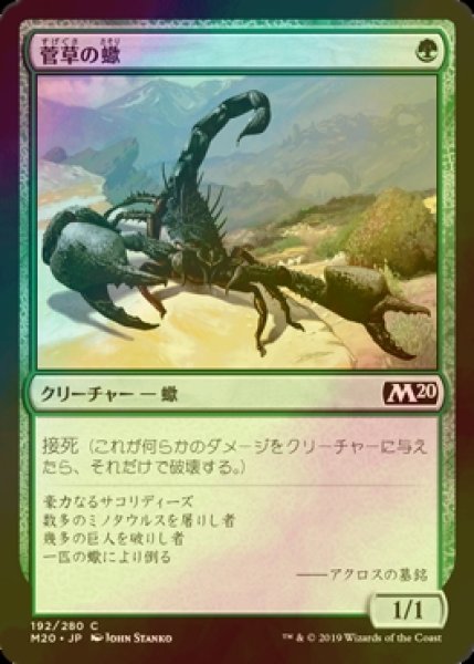 画像1: [FOIL] 菅草の蠍/Sedge Scorpion 【日本語版】 [M20-緑C] (1)