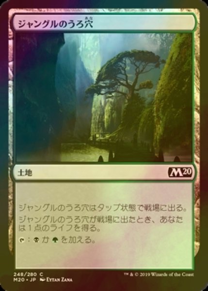 画像1: [FOIL] ジャングルのうろ穴/Jungle Hollow 【日本語版】 [M20-土地C] (1)