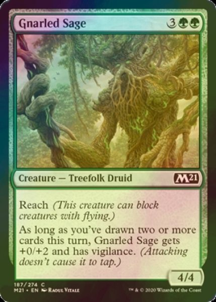 画像1: [FOIL] 節くれの賢者/Gnarled Sage 【英語版】 [M21-緑C] (1)