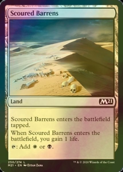 画像1: [FOIL] 磨かれたやせ地/Scoured Barrens 【英語版】 [M21-土地C] (1)